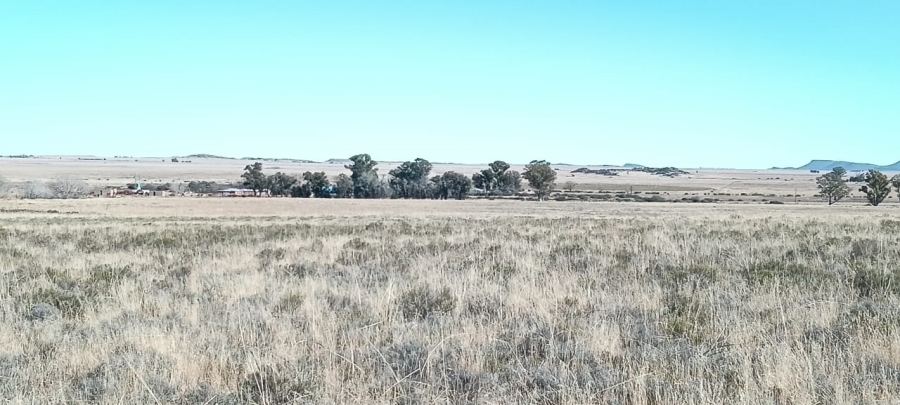 5 Bedroom Property for Sale in Edenburg Free State